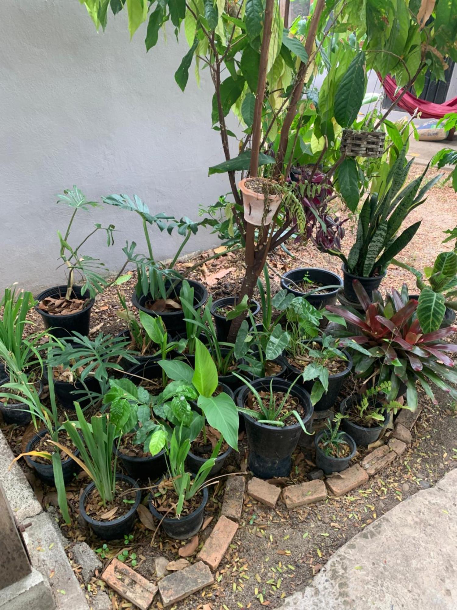 บ้านใจแปงโฮมสเตย์ Ban Jaipang Homestay Пай Экстерьер фото